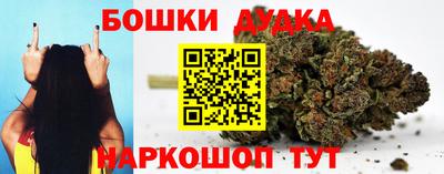 индика Малгобек