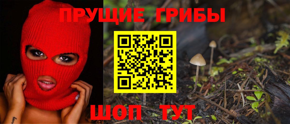Гудермес  Галлюциногенные грибы Magic Shrooms  Вход с VPN 